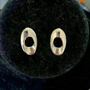 Skagen stainless steel earrings .   Like new condition